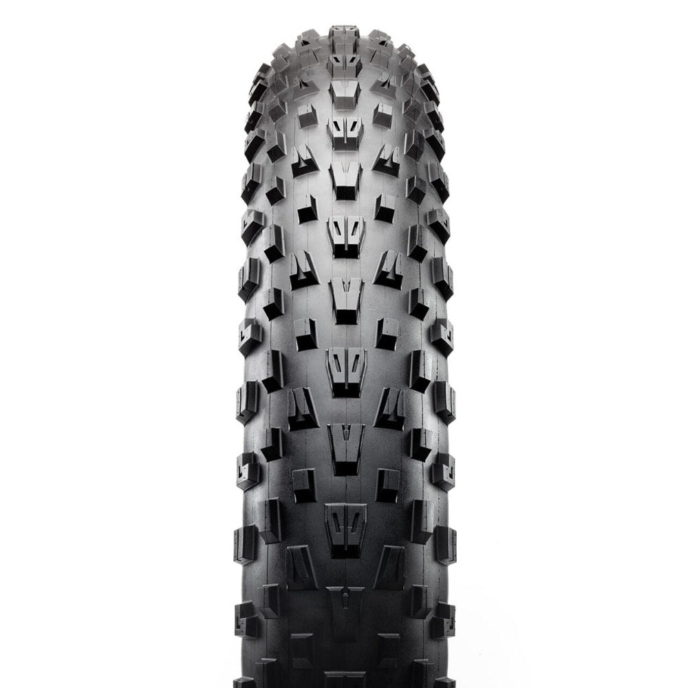 Maxxis Minion FBF Tyre