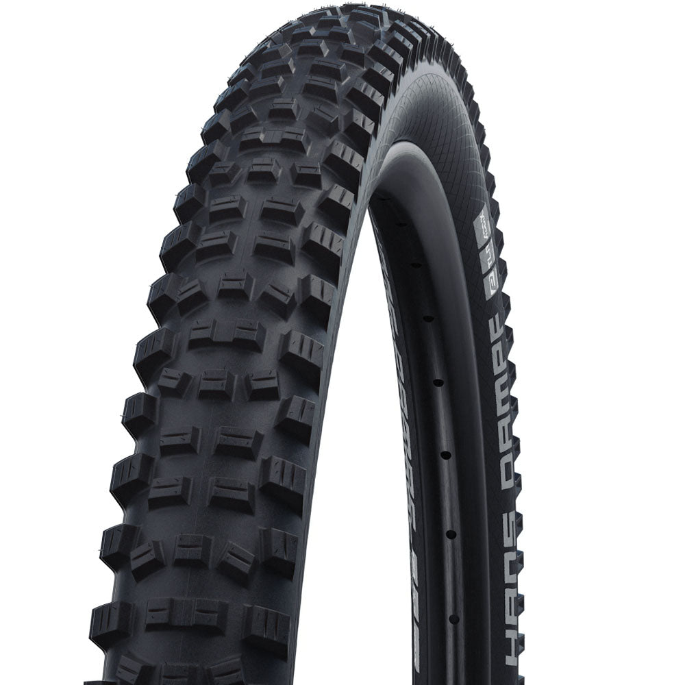 Schwalbe Hans Dampf Tyre