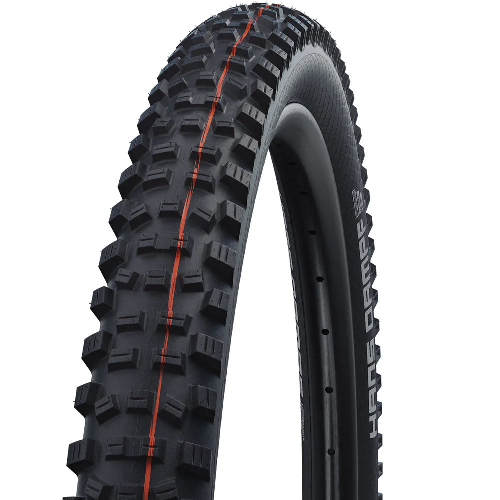 Schwalbe Hans Dampf Tyre